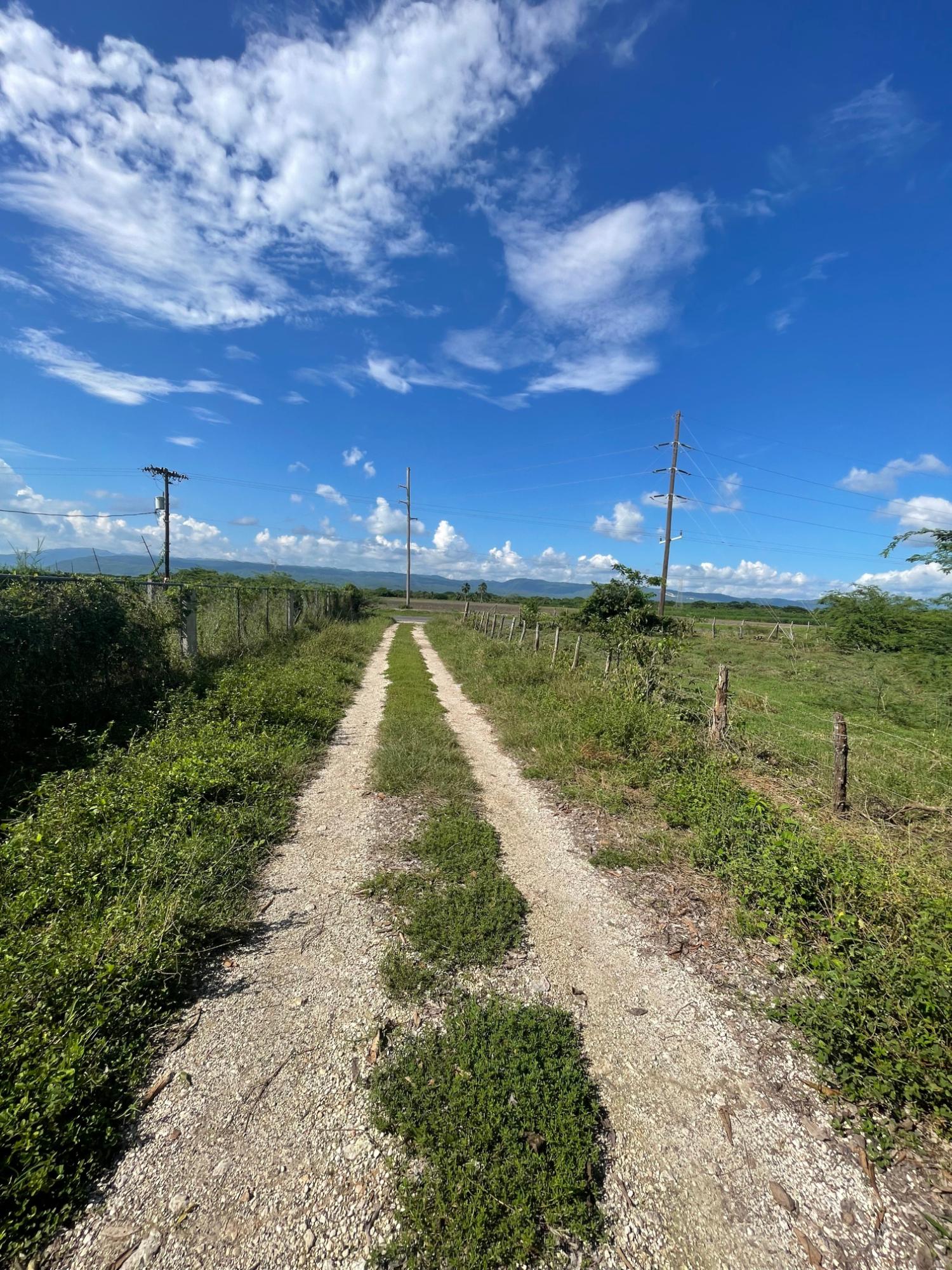 10-Acres-of-Prime-Agricultural-Land-for-Sale-in-Clarendon Ninth image of 38 Rhymesbury in Rhymesbury, Clarendon, Jamaica - property is For Sale