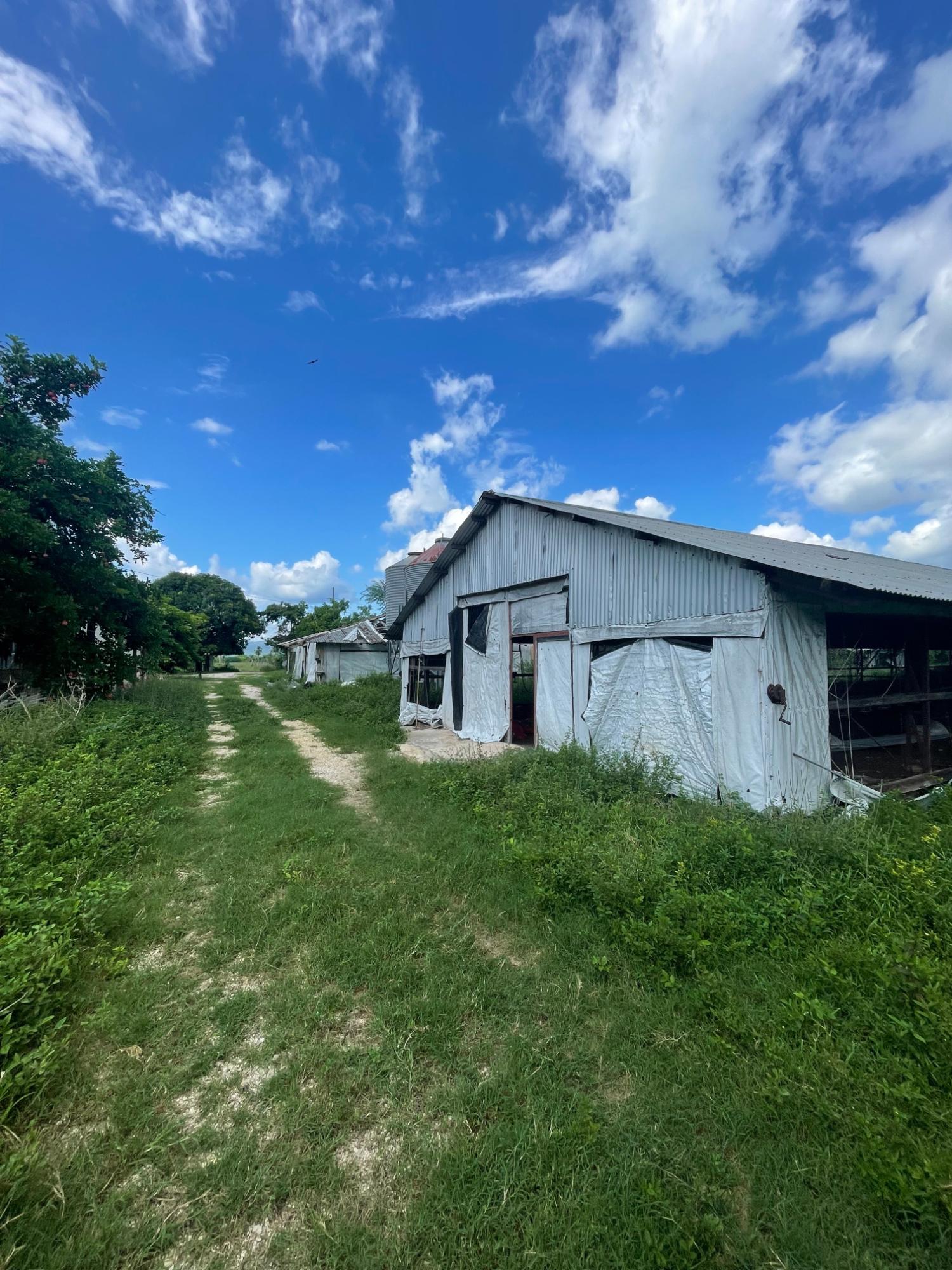 10-Acres-of-Prime-Agricultural-Land-for-Sale-in-Clarendon First image of 38 Rhymesbury in Rhymesbury, Clarendon, Jamaica - property is For Sale