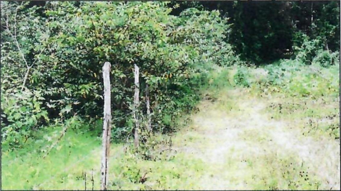 Fifth image of Goshen in Goshen, St. Ann, Jamaica - property is For Sale