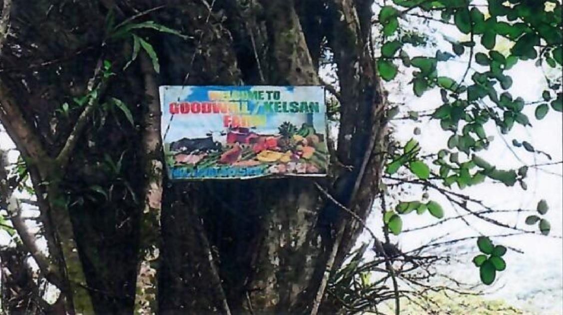 Sixth image of Goshen in Goshen, St. Ann, Jamaica - property is For Sale