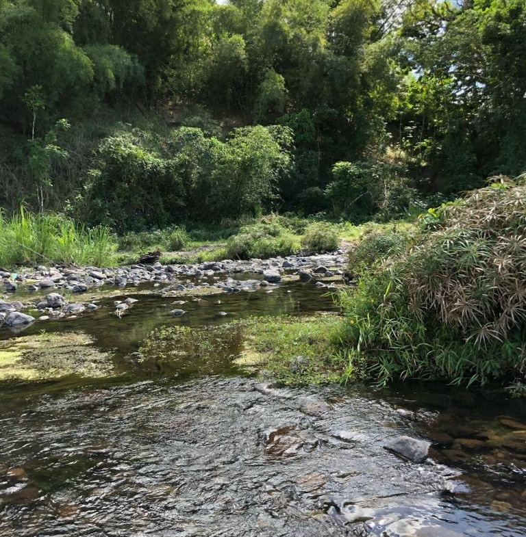 Second image of Morgan's Valley, Clarendo in Morgans Pass, Clarendon, Jamaica - property is For Rent