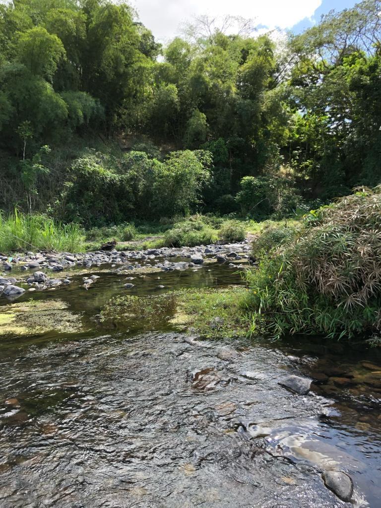 Second image of Morgan's Valley, Clarendo in Morgans Pass, Clarendon, Jamaica - property is For Rent