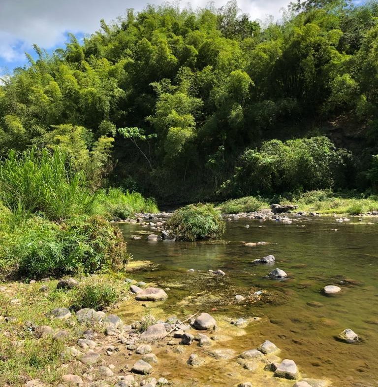 Sixth image of Morgan's Valley, Clarendo in Morgans Pass, Clarendon, Jamaica - property is For Rent