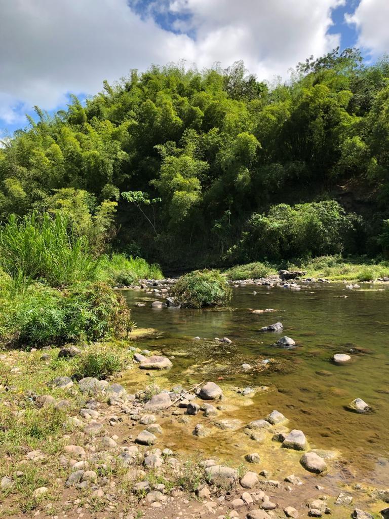 Sixth image of Morgan's Valley, Clarendo in Morgans Pass, Clarendon, Jamaica - property is For Rent