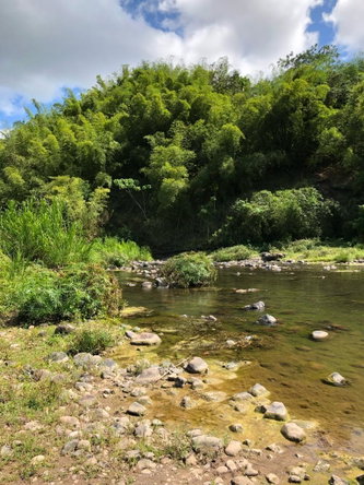 Sixth image of Morgan's Valley, Clarendo in Morgans Pass, Clarendon, Jamaica - property is For Rent