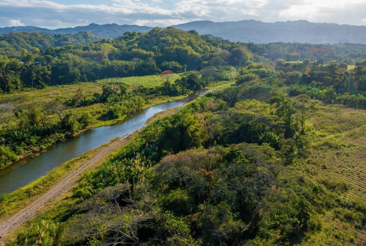 Fifth image of Morgan's Valley, Clarendo in Morgans Pass, Clarendon, Jamaica - property is For Sale