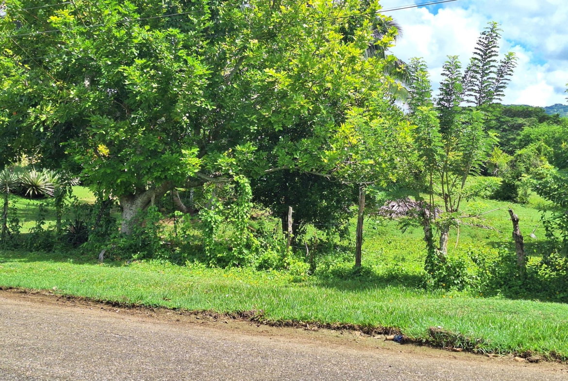 Second image of Lot 24 North Hall & Tanercky in Chandlers Pen, Clarendon, Jamaica - property is For Sale