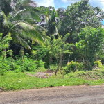 First image of Lot 24 North Hall & Tanercky in Chandlers Pen, Clarendon, Jamaica - property is For Sale