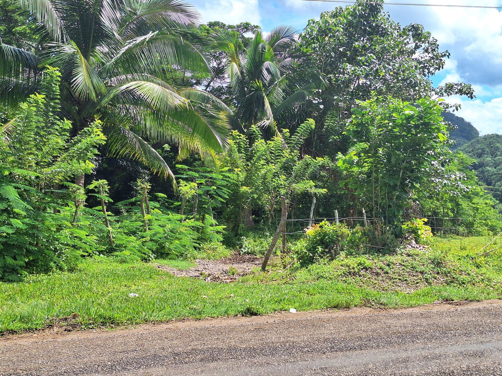 First image of Lot 24 North Hall & Tanercky in Chandlers Pen, Clarendon, Jamaica - property is For Sale