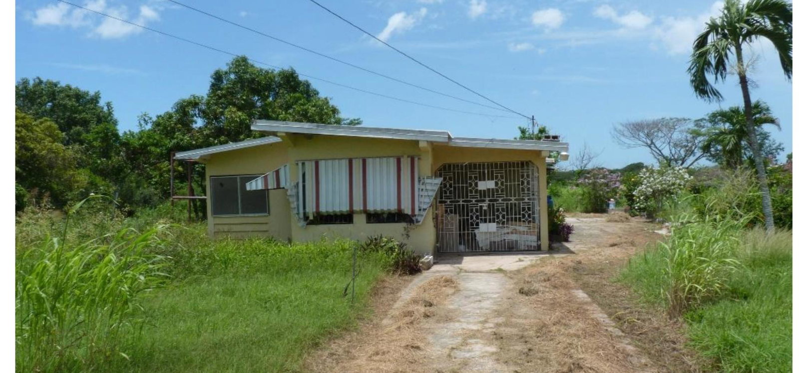 5-Acre-Farm-for-Sale-in-Nightingale-Grove-St.-Catherine Fourth image of 45 Spring Garden Road in Old Harbour, St. Catherine, Jamaica - property is For Sale