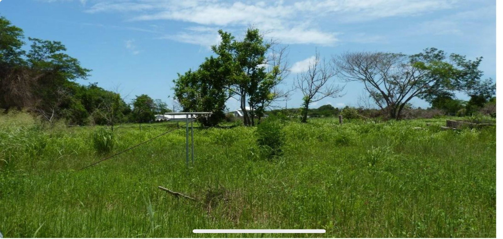 5-Acre-Farm-for-Sale-in-Nightingale-Grove-St.-Catherine Fifth image of 45 Spring Garden Road in Old Harbour, St. Catherine, Jamaica - property is For Sale