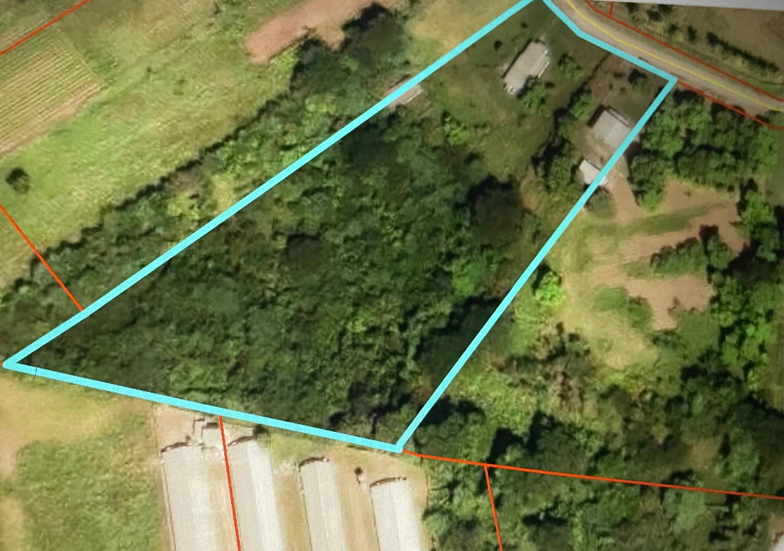 5-Acre-Farm-for-Sale-in-Nightingale-Grove-St.-Catherine Sixth image of 45 Spring Garden Road in Old Harbour, St. Catherine, Jamaica - property is For Sale