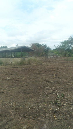 Ninth image of 45 Spring Garden Road in Old Harbour, St. Catherine, Jamaica - property is For Sale