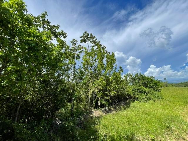Sixth image of Part of Upper Warminster in Upper Warminister, St. Elizabeth, Jamaica - property is For Sale