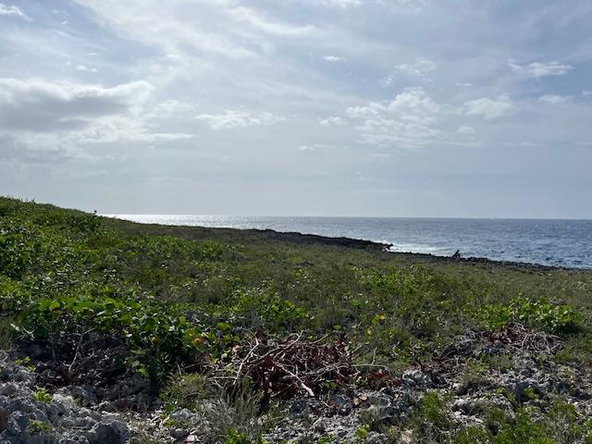 Third image of Lot 63 Rockmoor, Oracabessa in Oracabessa, St. Mary, Jamaica - property is For Sale