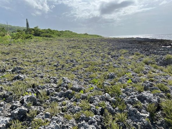 Fifth image of Lot 63 Rockmoor, Oracabessa in Oracabessa, St. Mary, Jamaica - property is For Sale