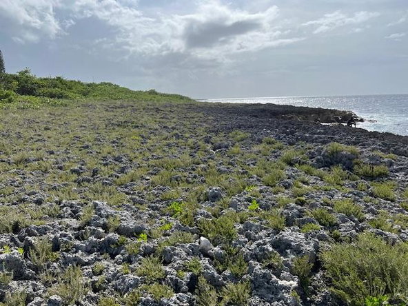 Sixth image of Lot 63 Rockmoor, Oracabessa in Oracabessa, St. Mary, Jamaica - property is For Sale