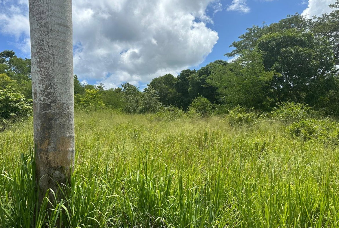 Third image of Lot 5 Huddersfield in Tower Isle, St. Mary, Jamaica - property is For Sale