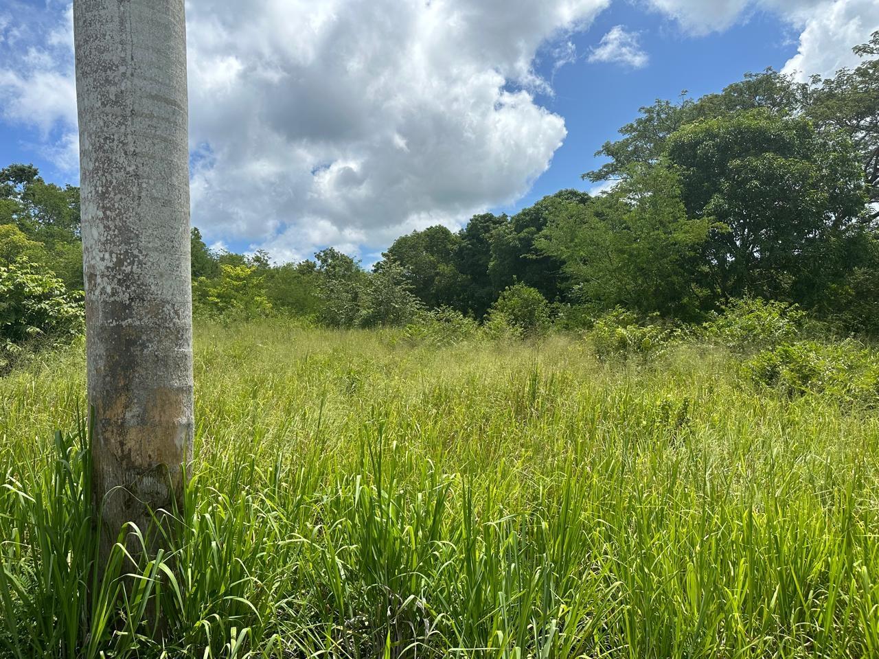 Third image of Lot 5 Huddersfield in Tower Isle, St. Mary, Jamaica - property is For Sale