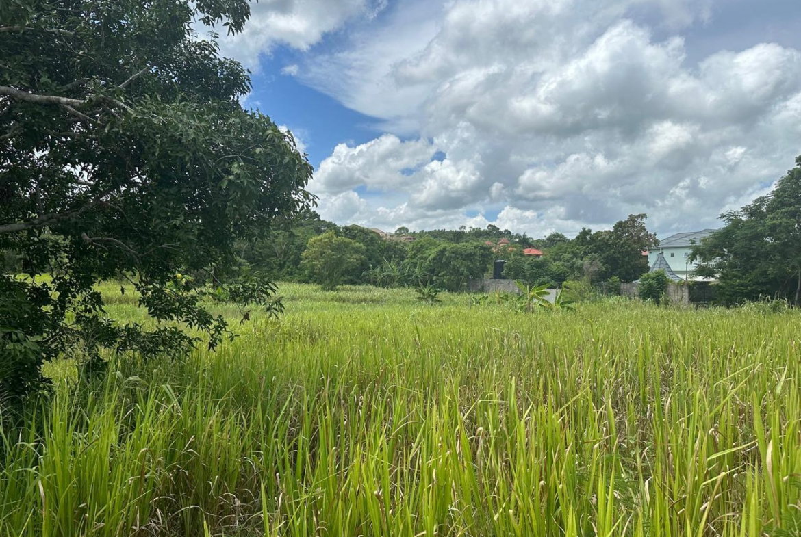 Fourth image of Lot 5 Huddersfield in Tower Isle, St. Mary, Jamaica - property is For Sale