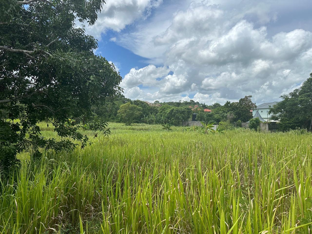 Fourth image of Lot 5 Huddersfield in Tower Isle, St. Mary, Jamaica - property is For Sale