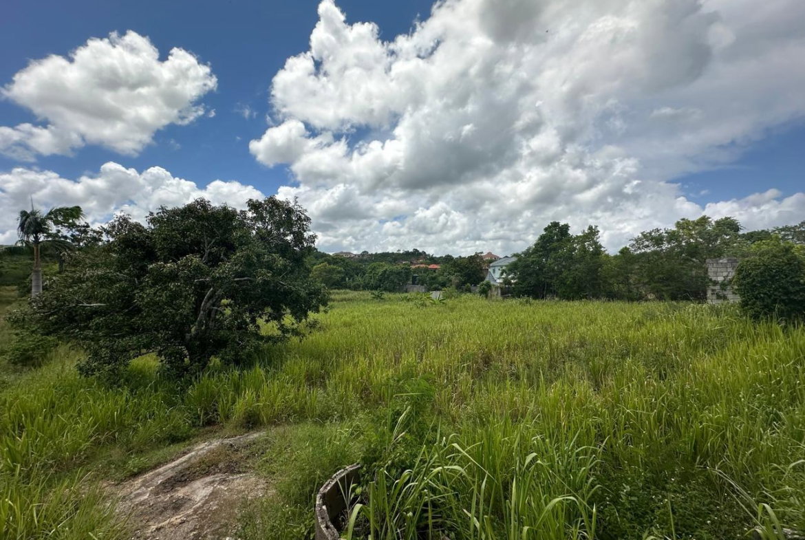Fifth image of Lot 5 Huddersfield in Tower Isle, St. Mary, Jamaica - property is For Sale