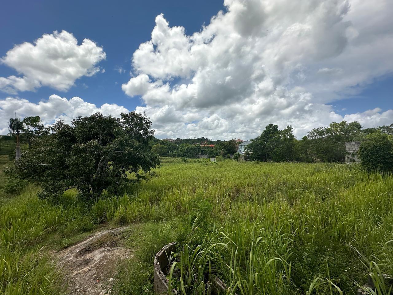 Fifth image of Lot 5 Huddersfield in Tower Isle, St. Mary, Jamaica - property is For Sale
