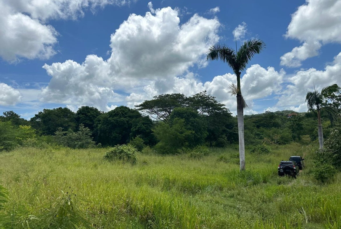 Sixth image of Lot 5 Huddersfield in Tower Isle, St. Mary, Jamaica - property is For Sale