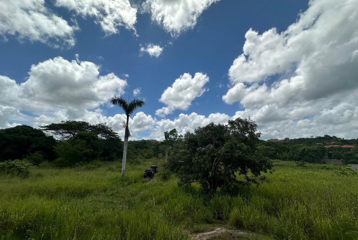 Eighth image of Lot 5 Huddersfield in Tower Isle, St. Mary, Jamaica - property is For Sale