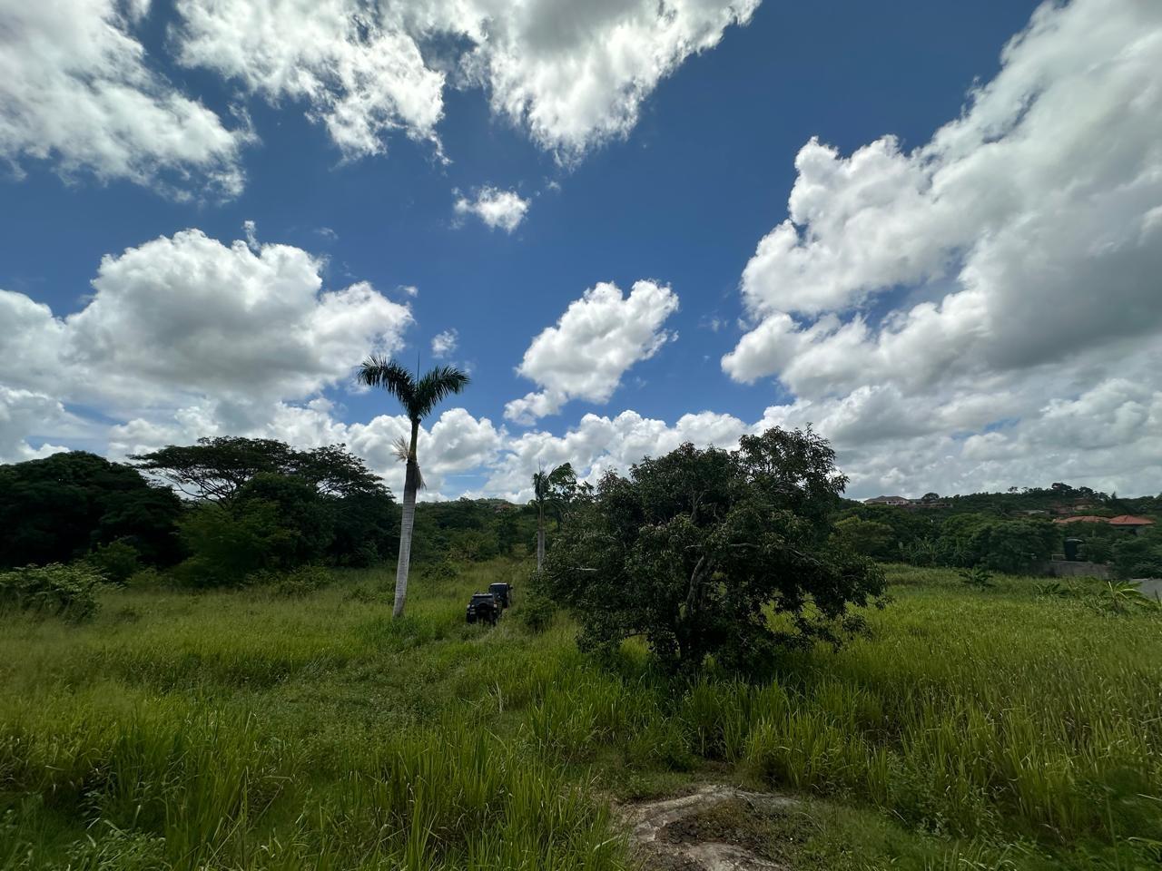 Eighth image of Lot 5 Huddersfield in Tower Isle, St. Mary, Jamaica - property is For Sale