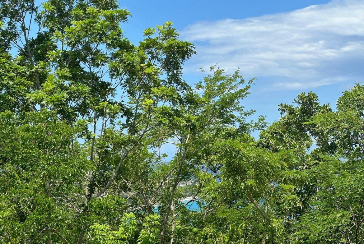 Ninth image of Lot 5 Huddersfield in Tower Isle, St. Mary, Jamaica - property is For Sale