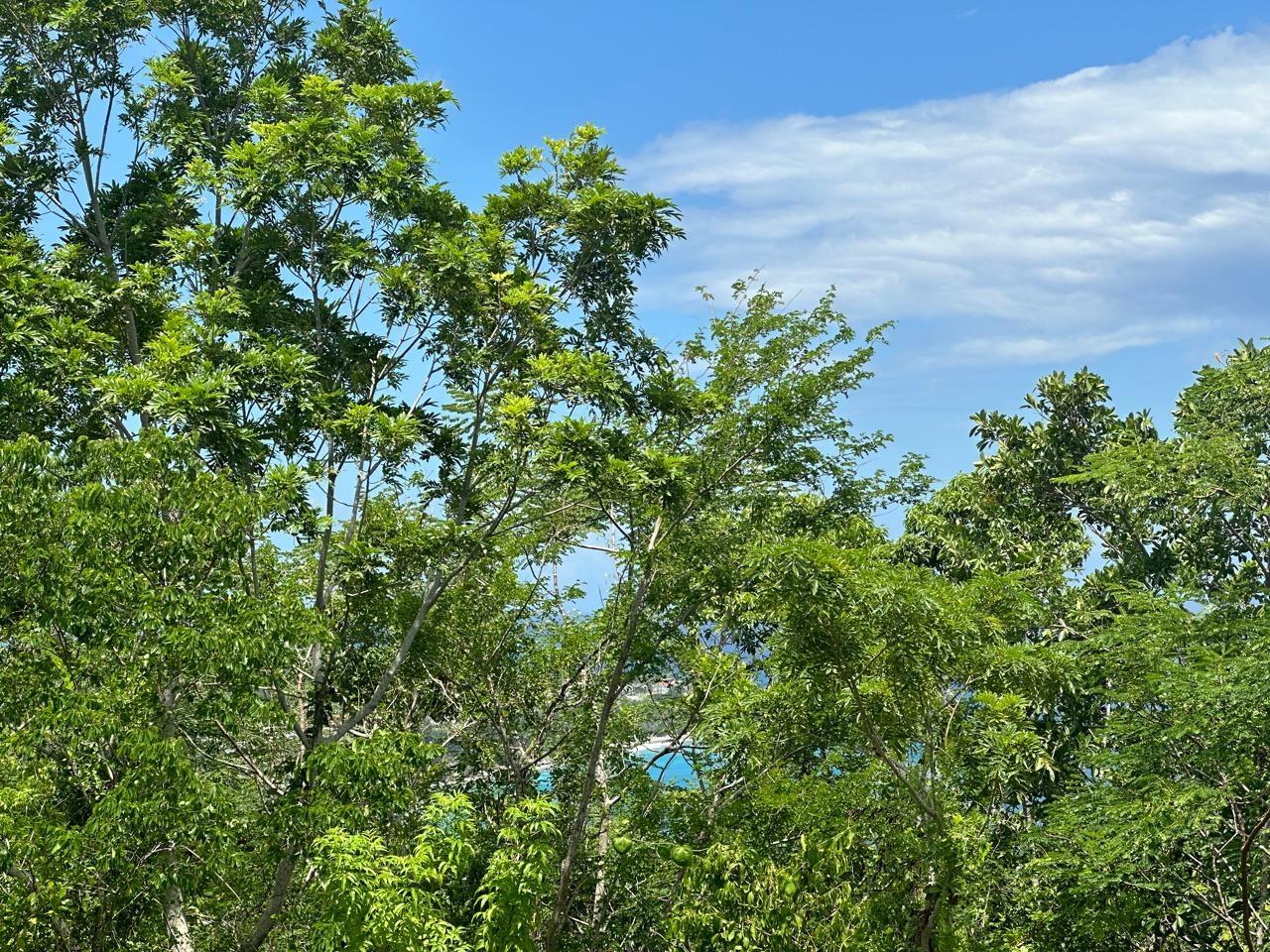 Ninth image of Lot 5 Huddersfield in Tower Isle, St. Mary, Jamaica - property is For Sale
