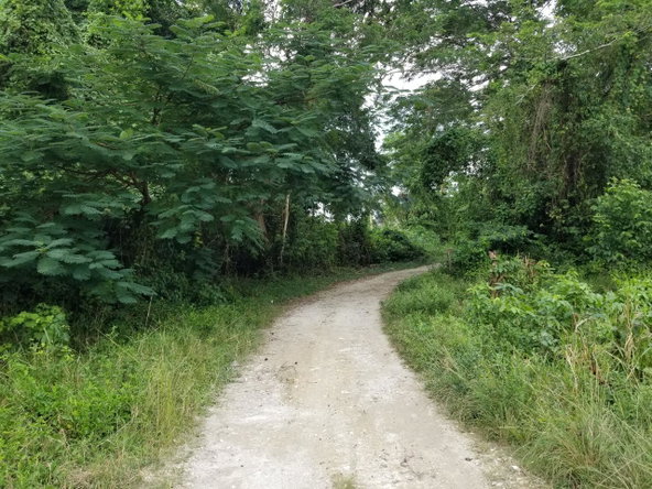 Fourth image of Carawina, Savanna la Mar in Savanna-La-Mar, Westmoreland, Jamaica - property is For Sale