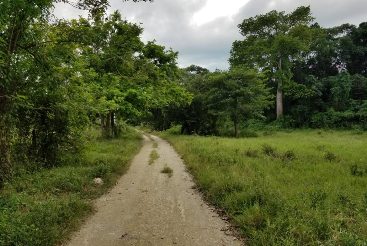 Fifth image of Carawina, Savanna la Mar in Savanna-La-Mar, Westmoreland, Jamaica - property is For Sale