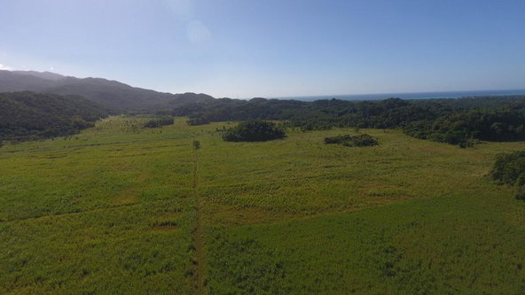 Seventh image of Carawina, Savanna la Mar in Savanna-La-Mar, Westmoreland, Jamaica - property is For Sale