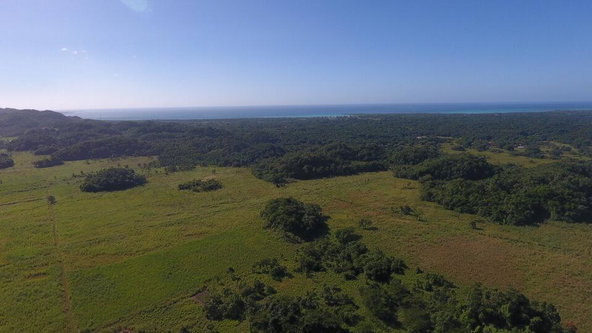 Eighth image of Carawina, Savanna la Mar in Savanna-La-Mar, Westmoreland, Jamaica - property is For Sale