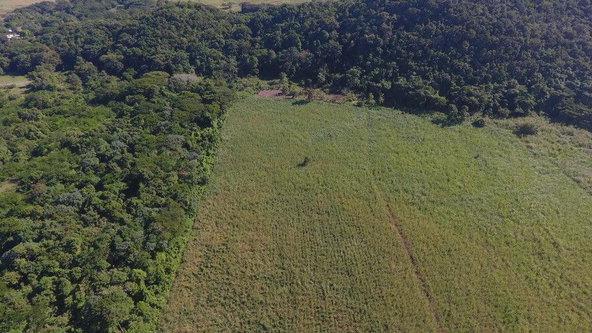 Ninth image of Carawina, Savanna la Mar in Savanna-La-Mar, Westmoreland, Jamaica - property is For Sale