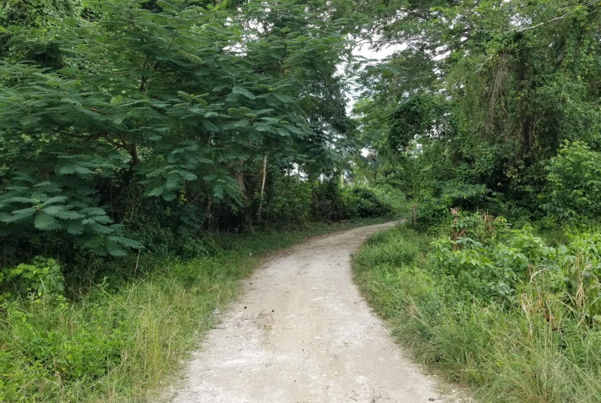 Fifth image of Carawina, Savanna la Mar in Savanna-La-Mar, Westmoreland, Jamaica - property is For Sale