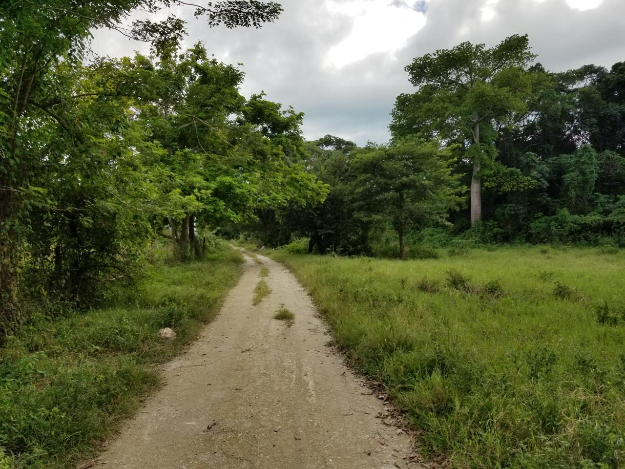 Sixth image of Carawina, Savanna la Mar in Savanna-La-Mar, Westmoreland, Jamaica - property is For Sale