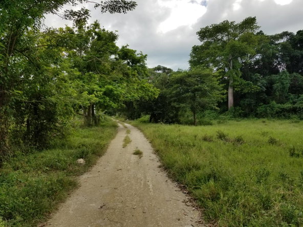 Sixth image of Carawina, Savanna la Mar in Savanna-La-Mar, Westmoreland, Jamaica - property is For Sale