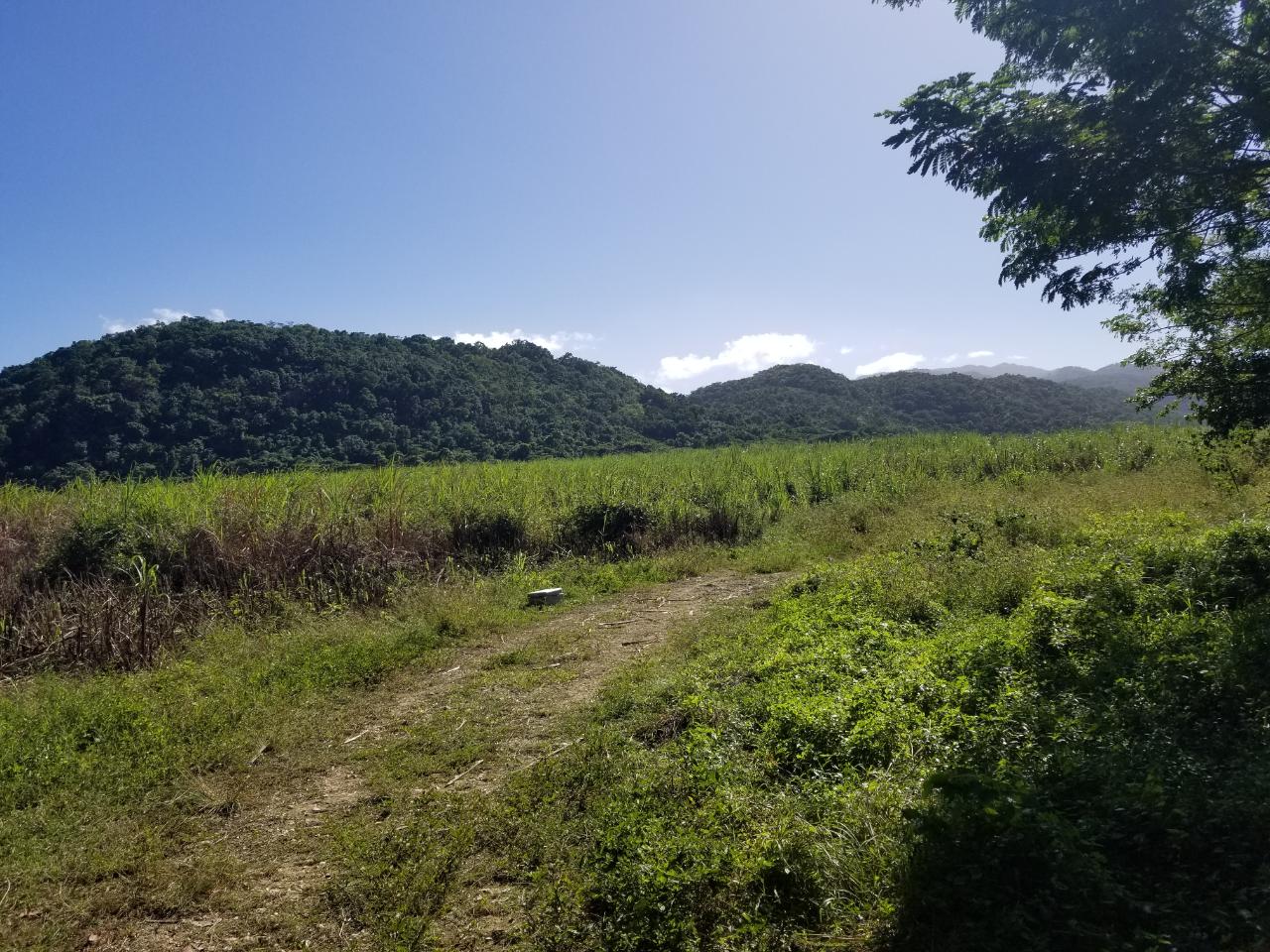 Third image of Carawina, Savanna la Mar in Savanna-La-Mar, Westmoreland, Jamaica - property is For Sale