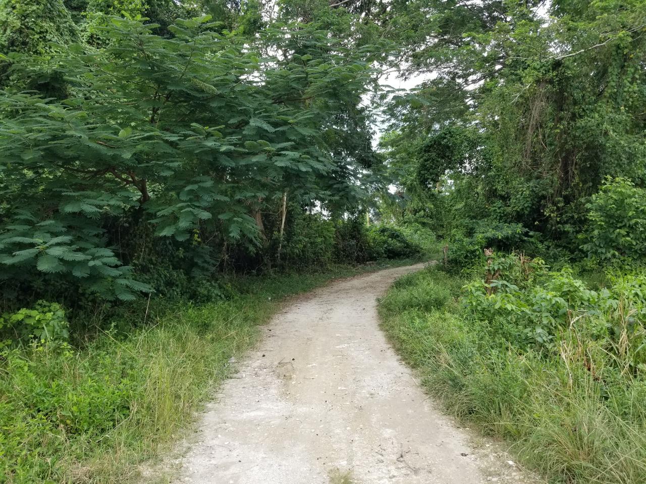 Fourth image of Carawina, Savanna la Mar in Savanna-La-Mar, Westmoreland, Jamaica - property is For Sale