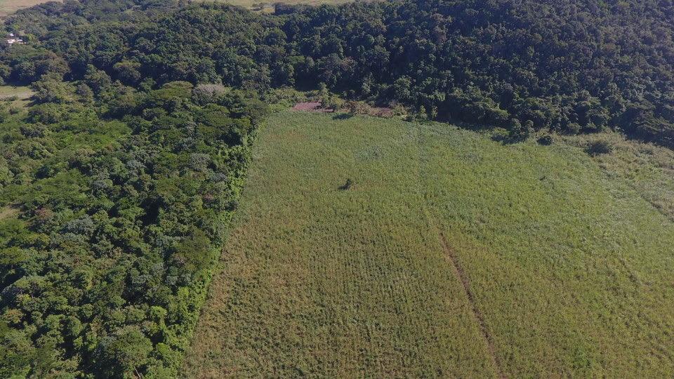 Ninth image of Carawina, Savanna la Mar in Savanna-La-Mar, Westmoreland, Jamaica - property is For Sale