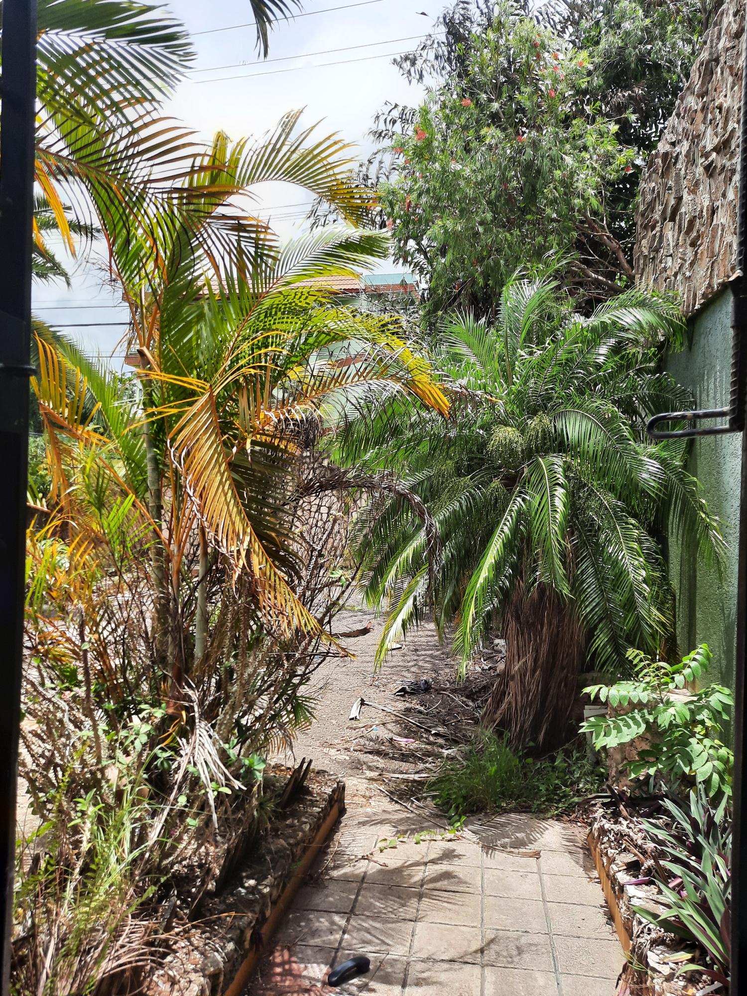 Third image of 1 Villa Road, Mandeville in Mandeville, Manchester, Jamaica - property is For Sale