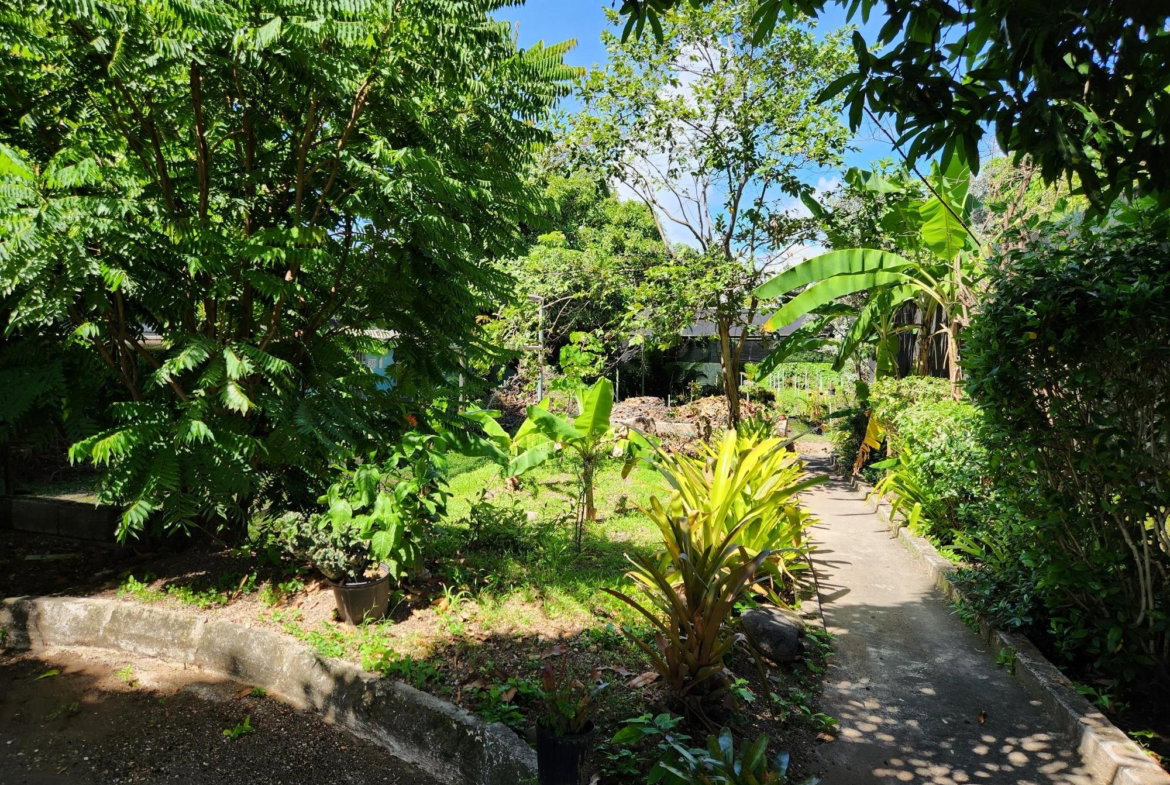 Ninth image of Papine Market Road in Kingston 6, St. Andrew, Jamaica - property is For Sale