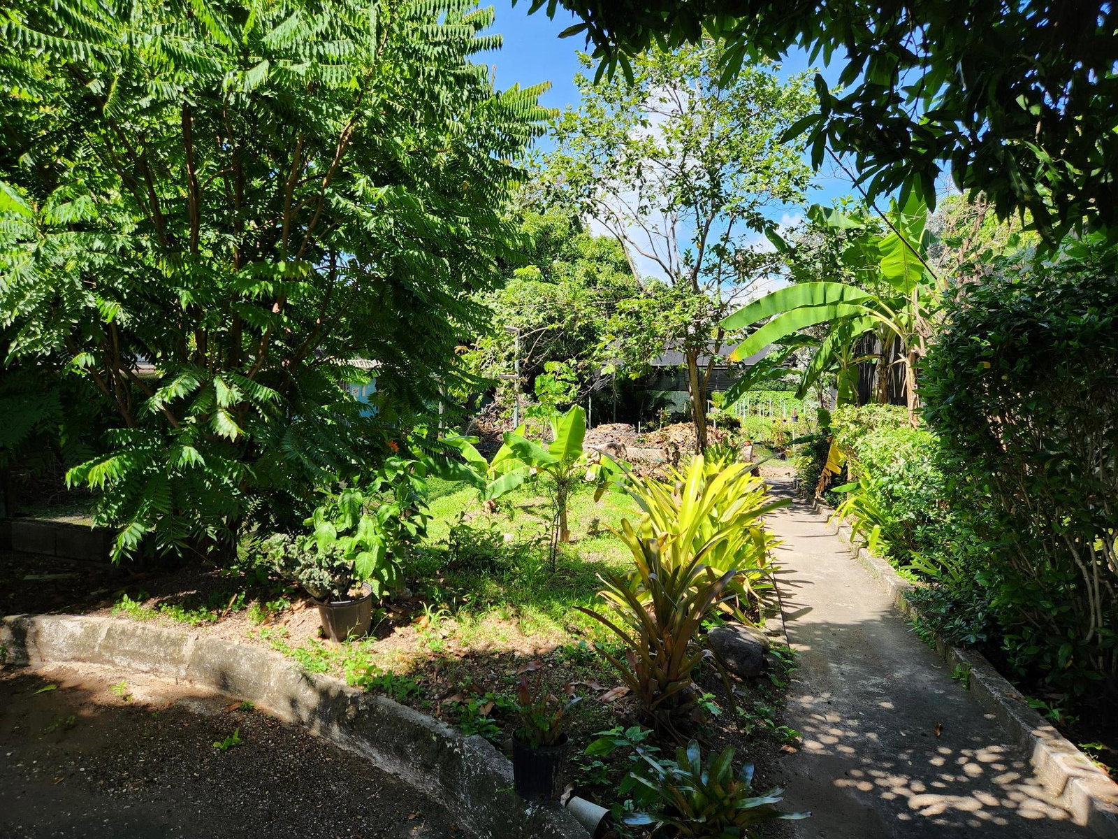 Prime-Commercial-Real-Estate-in-Papine-Jamaica-45000-sq-ft-Development-Opportunity Ninth image of Papine Market Road in Kingston 6, St. Andrew, Jamaica - property is For Sale