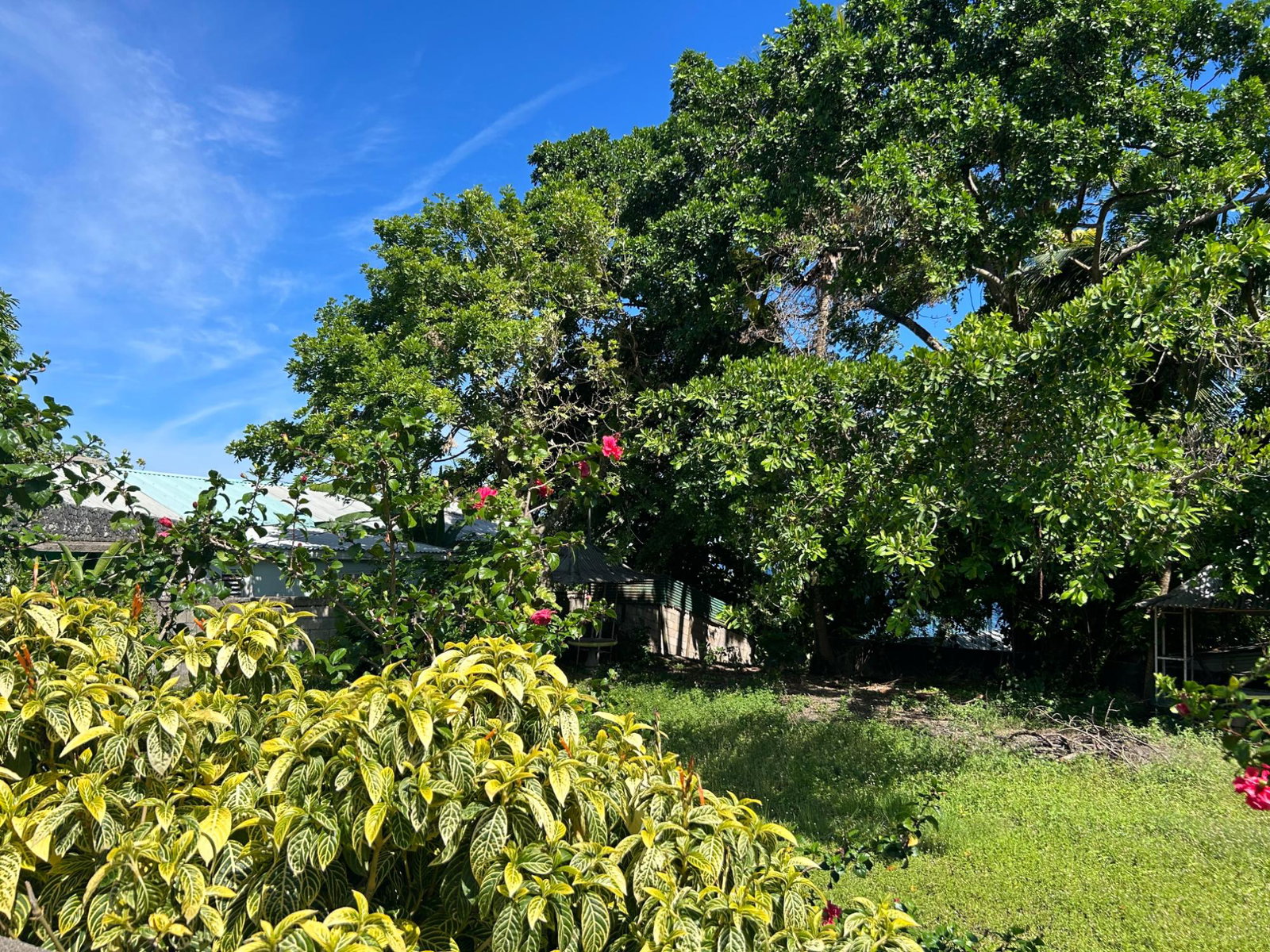 Prime-Commercial-Residential-Land-for-Sale-in-Boscobel-Jamaica Second image of a3 Highway, Boscobel, st Mar in Boscobel, St. Mary, Jamaica - property is For Sale