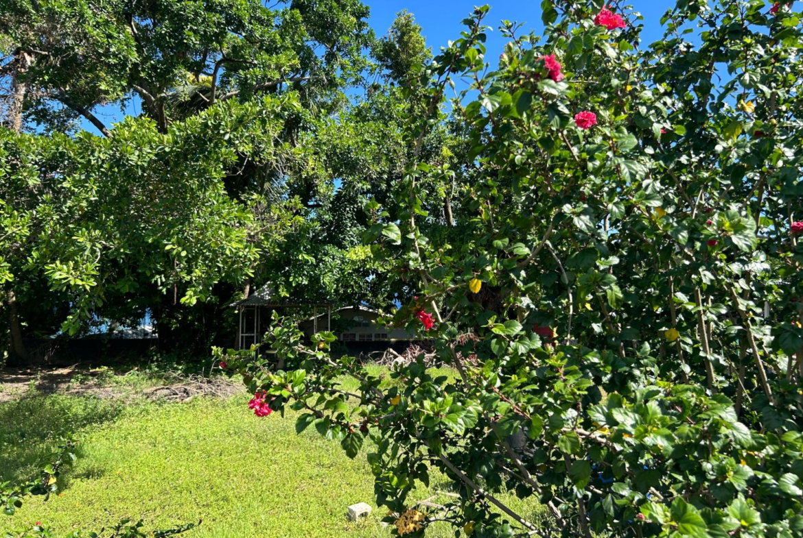 Third image of a3 Highway, Boscobel, st Mar in Boscobel, St. Mary, Jamaica - property is For Sale