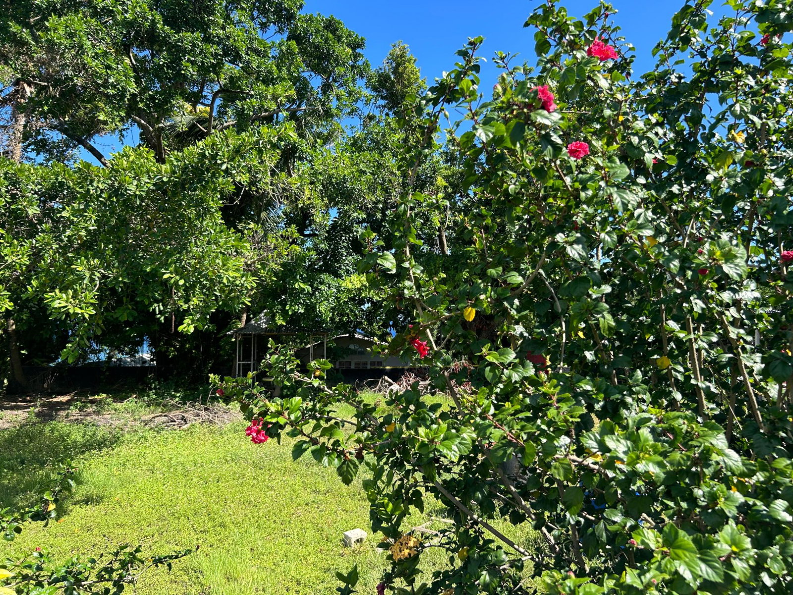 Prime-Commercial-Residential-Land-for-Sale-in-Boscobel-Jamaica Third image of a3 Highway, Boscobel, st Mar in Boscobel, St. Mary, Jamaica - property is For Sale