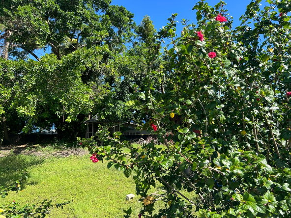 Third image of a3 Highway, Boscobel, st Mar in Boscobel, St. Mary, Jamaica - property is For Sale
